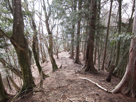 20190205hike (195)